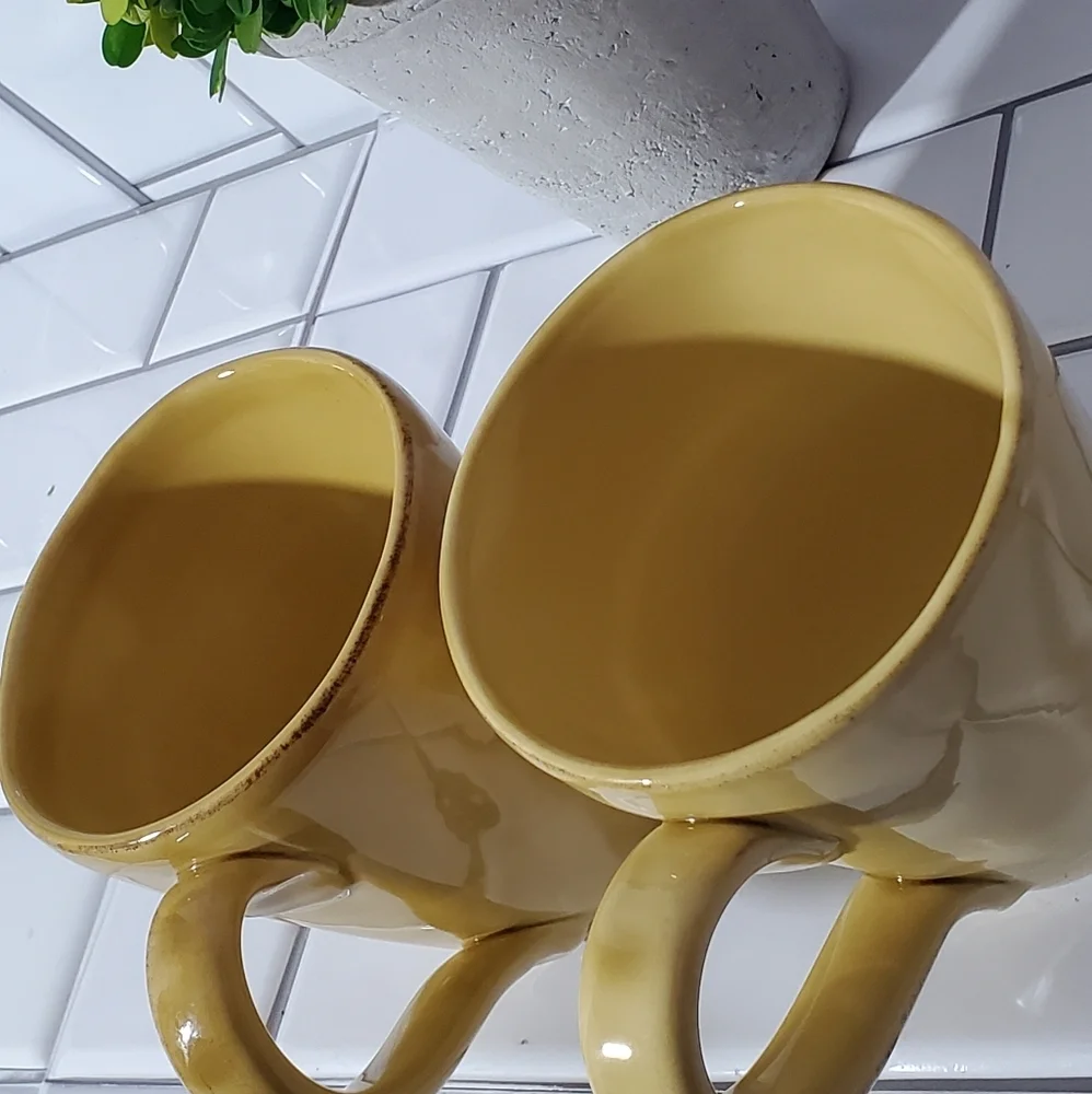 NWOT Lot of 2 Z GALLERIE Mugs  Made in Italy Color